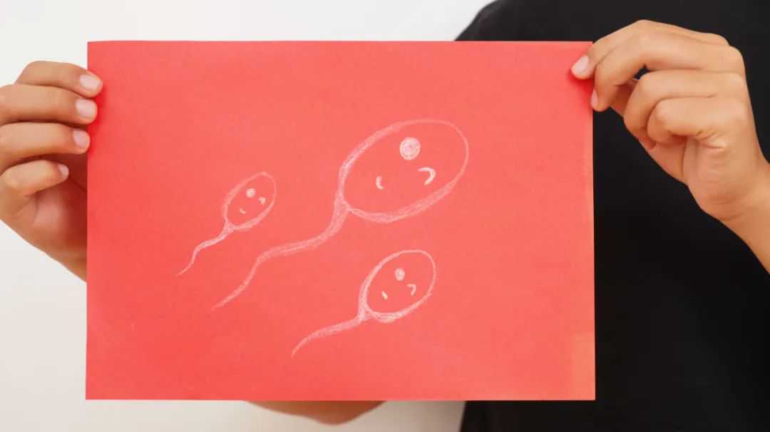 香港时代医疗验血男女验错了怎么办,女性备孕期间偶