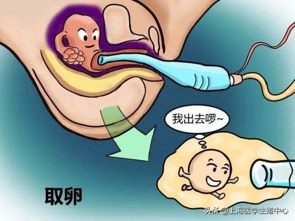 一般香港验血邮寄多少天的结果,在试管助孕治疗中，女性需要承受什么？