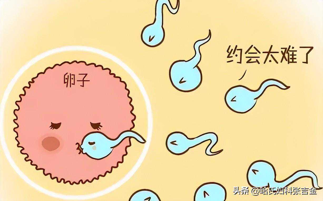 香港验血怀孕几周怎么算,备孕怀不上最需要吃哪些菜