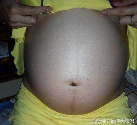 香港诗康富验血准确率,生男宝宝怎么备孕成功率高？用以下4个方法生男孩