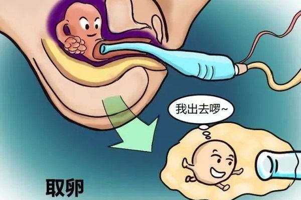 香港验血报告单女儿,人工授精让不孕不育家庭摆脱备孕困惑，人工授精前多久