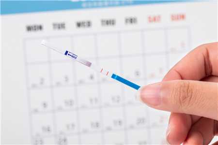 香港验血周是看胚胎发育周还是孕周,备孕早孕试纸一定能测出怀孕吗