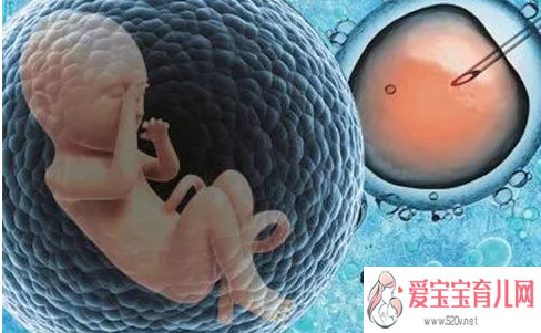 香港验血邮寄的过程,胚胎冷冻对宝宝有影响试管婴儿冷冻胚胎有什么好处