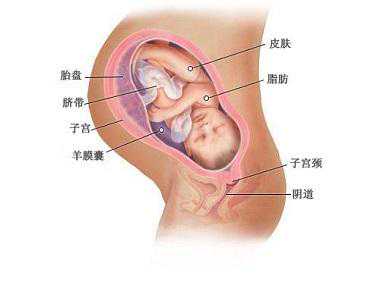 北京香港验血查男女,患上多囊卵巢很苦恼，坚持科学