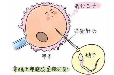 去香港验血要多久才知结果,做试管婴儿就一定能怀上吗？结果和过程没你想的